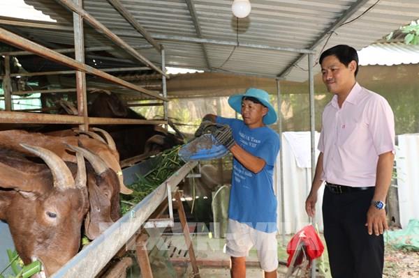 Vốn chính sách đánh thức sinh kế nông thôn Vĩnh Long