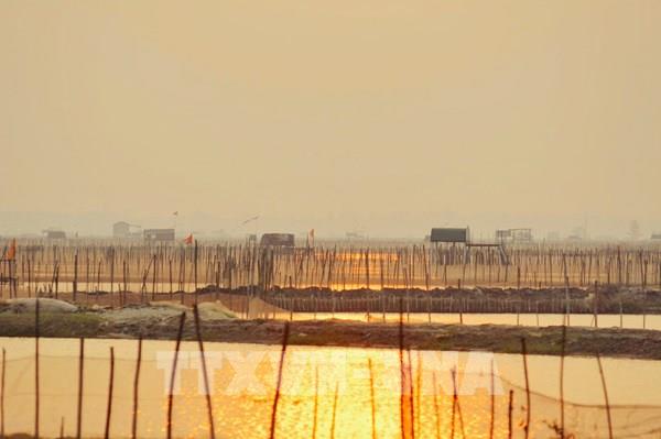  Bnh minh trên phá Tam Giang