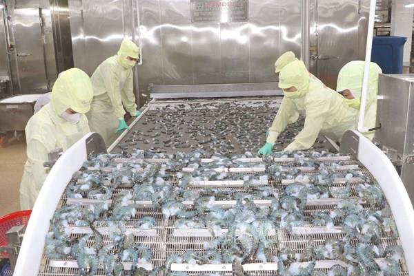 Cà Mau tăng tốc hội nhập quốc tế 