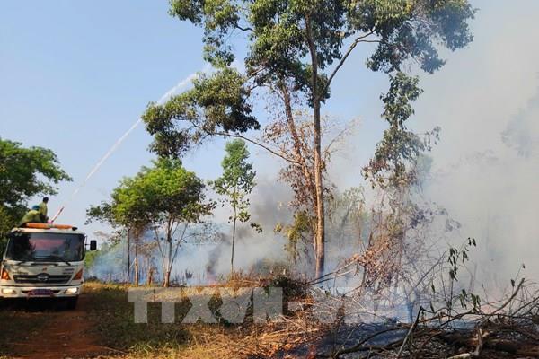 Không chủ quan trước nắng nóng gay gắt, nguy cơ cháy rừng tăng cao