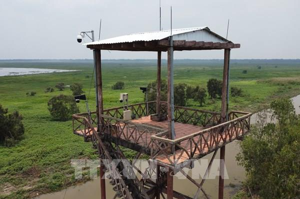 Đồng Tháp dùng "mắt thần" canh lửa cho hơn 7.700ha rừng mùa hạn mặn