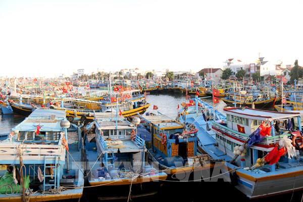 Thủ tướng Chính phủ yêu cầu khắc phục triệt để các tồn tại trong chống khai thác IUU