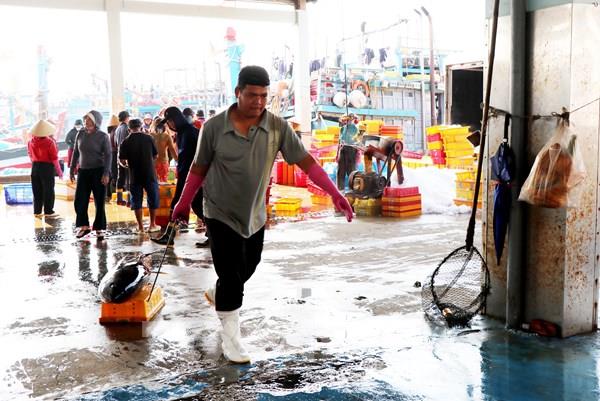 Ngư dân linh hoạt giữa thời “bão” giá