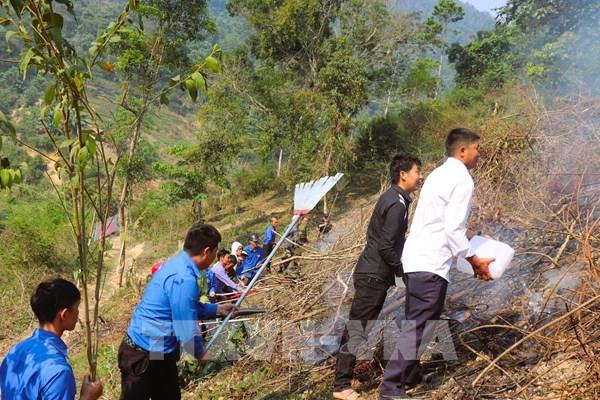 Nắng nóng gay gắt, liên tiếp xảy ra cháy rừng ở Nghệ An