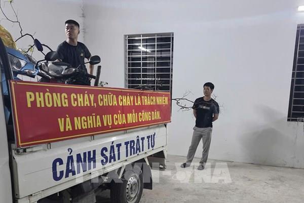 Bắt giữ vụ khai thác, vận chuyển cây Muội hồng