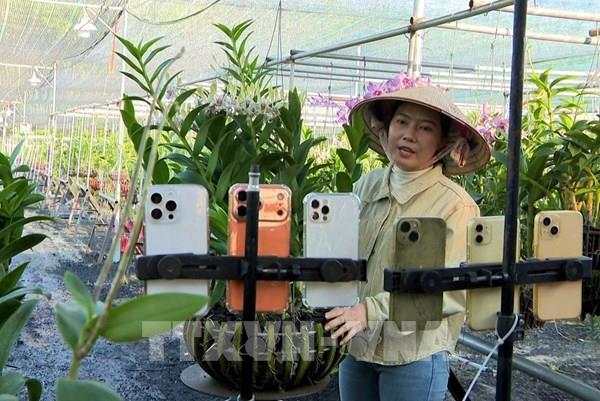 Nữ tỷ phú Khmer và vườn lan 8 tỷ: Khởi nghiệp từ tay trắng