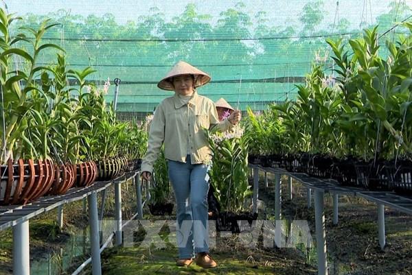 Bộ Nông nghiệp và Môi trường giảm mạnh điều kiện kinh doanh, thủ tục hành chính