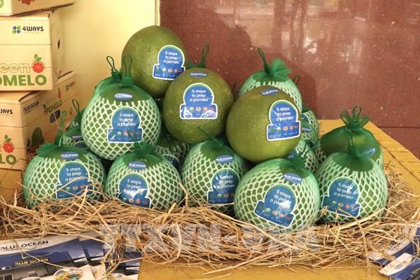 Bưởi Đồng Tháp lần đầu "vượt sóng" sang Australia