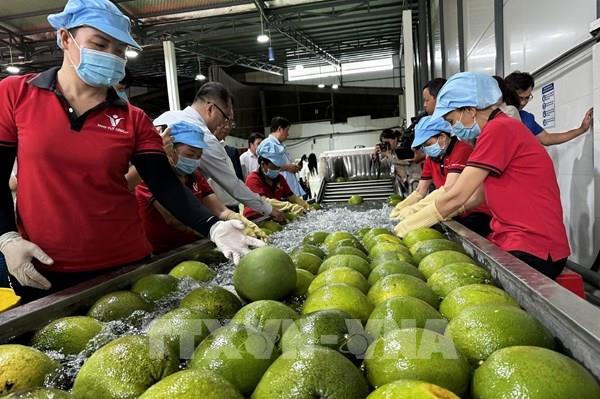 Bộ Công Thương tiếp tục cắt giảm thủ tục xuất nhập khẩu  