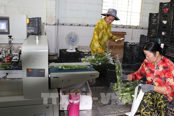 Công nghệ thúc đẩy niềm tin tăng trưởng của doanh nghiệp nhỏ Việt Nam