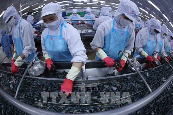 Tăng trưởng 2 con số - Bài 2: Nội lực là nền tảng