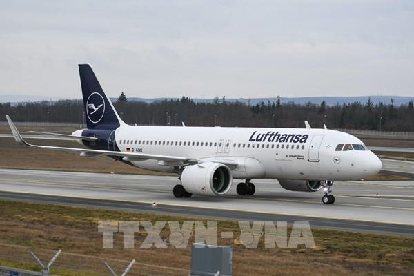 Hàng không Lufthansa điêu đứng vì phi công và tiếp viên đình công