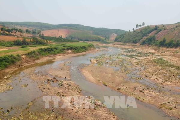 Quảng Ngãi đối mặt nguy cơ hạn hán do dòng chảy suy giảm