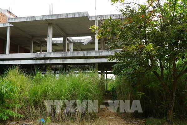 Dự án 1.000 tỷ của FLC tại Đồng Tháp: Nhếch nhác, cỏ mọc um tùm