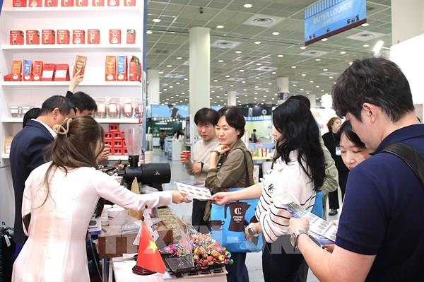 Cà phê Việt tăng tốc xuất khẩu, mở rộng thị trường Hàn Quốc
