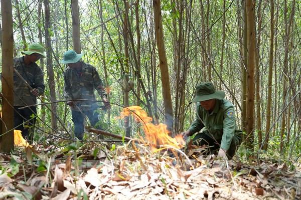 Đắk Lắk kích hoạt phương án phòng chống cháy rừng cao điểm mùa khô