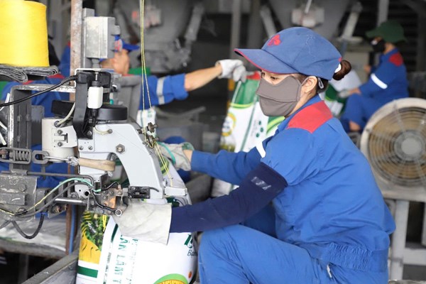 Nguồn cung phân bón trong nước có đảm bảo trước áp lực toàn cầu?