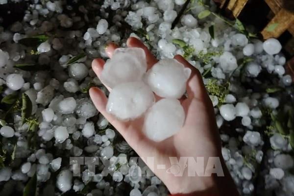 Mưa đá khiến 4 người bị thương tại xã Bắc Hà, Lào Cai