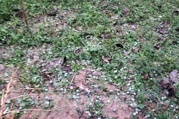 Lào Cai khẩn trương khắc phục hậu quả nặng nề của mưa đá