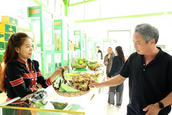 Nam Trà My: Viết tiếp khát vọng ấm no từ vùng đất "cao sơn, ngọc quế"