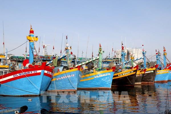 Khắc phục “thẻ vàng” IUU: Bịt kín “kẽ hở” trong chuỗi khai thác