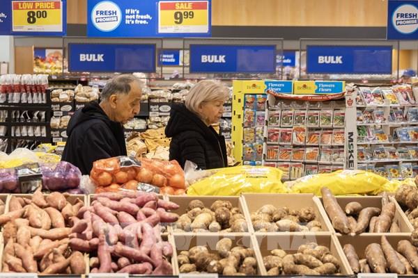 IMF cảnh báo lạm phát có thể lan sang giá lương thực