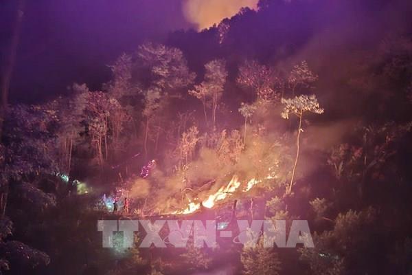 Cháy rừng phòng hộ ở Tân Uyên, Lai Châu