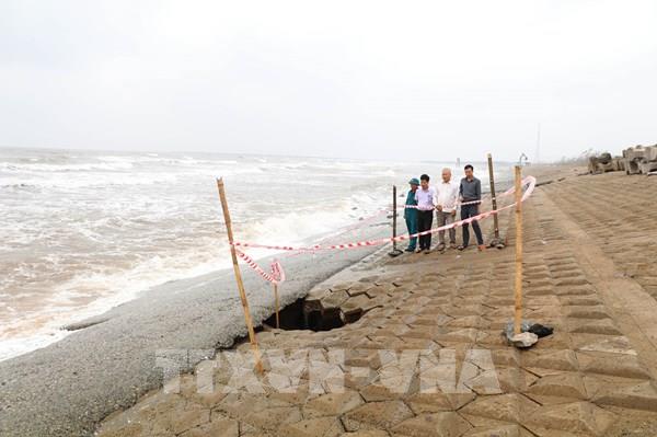 Ninh Bình khẩn trương gia cố đê biển, giảm rủi ro thiên tai
