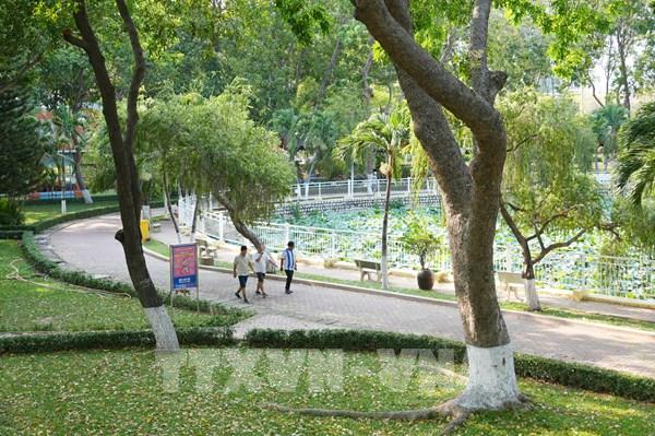 Phát triển mảng xanh đô thị, giảm tác động nắng nóng