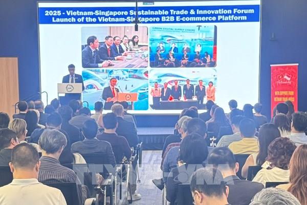 Việt Nam - Singapore thúc đẩy hợp tác kinh tế xanh và thương mại bền vững