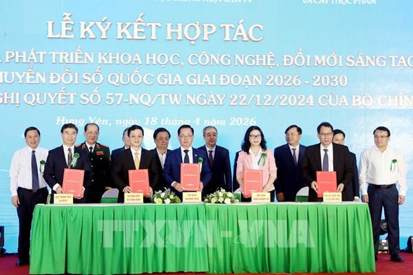 Nâng tầm gạo Việt