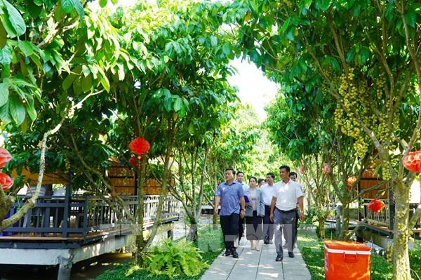 Nông dân An Giang bứt phá nhờ mô hình kinh tế xanh gắn với du lịch