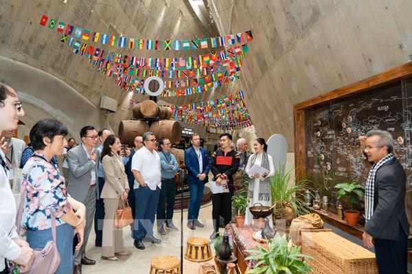 Nâng tầm giá trị cà phê Việt Nam trong bối cảnh toàn cầu hóa   ﻿