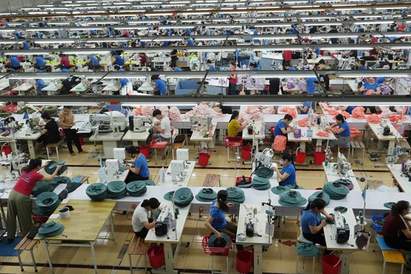 TNG phấn đấu đạt doanh thu 9.500 tỷ đồng