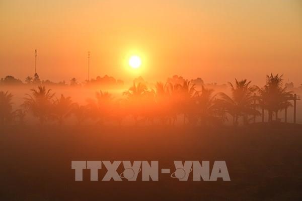 Vẻ đẹp thơ mộng miền quê Cần Thơ trong sương sớm