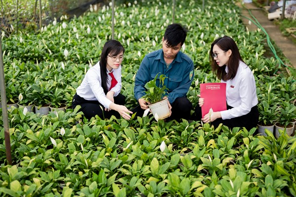 Agribank - Dòng vốn bền bỉ, điểm tựa vững chắc cho nền kinh tế