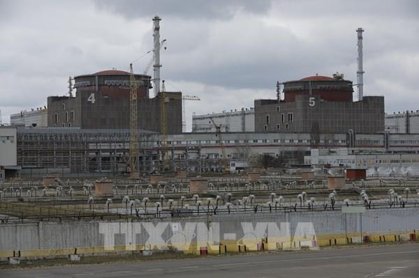 Khủng hoảng năng lượng thúc đẩy làn sóng điện hạt nhân