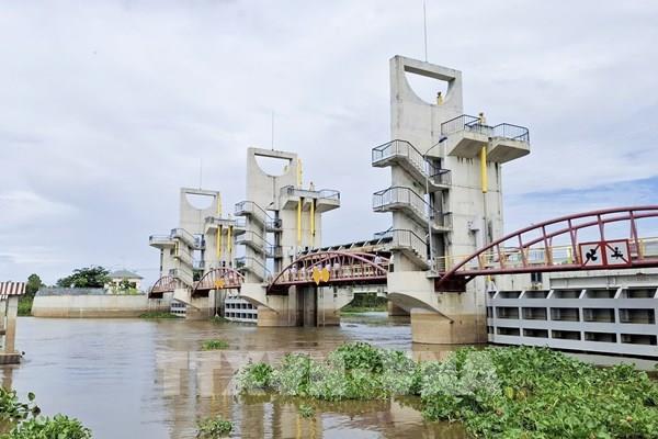 Chủ động "giữ ngọt, ngăn mặn" cho vụ lúa Hè Thu
