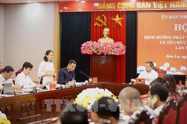 Sơn La định hướng xây dựng cà phê Arabica thành ngành hàng chủ lực