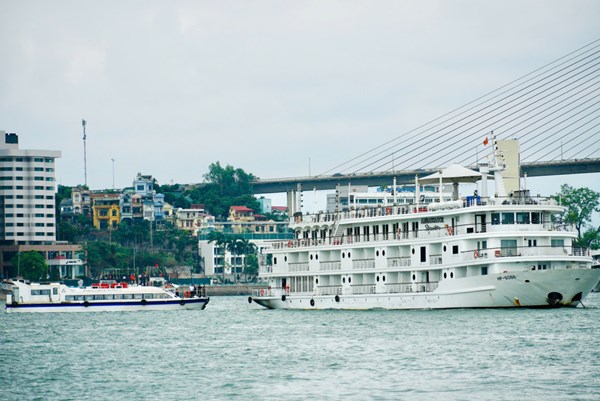 Tàu chạy tuyến vịnh Hạ Long - Lan Hạ đi vào hoạt động