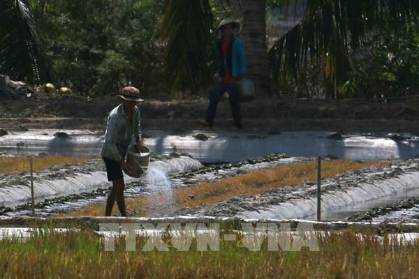 Nhiều khu vực sẽ phải “căng mình” ứng phó hạn mặn mùa khô 2026-2027