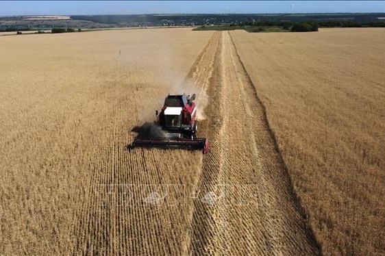 An ninh lương thực vẫn là mối lo ngại lớn đối với thế giới