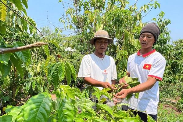 “Đánh thức” tiềm năng đất đai