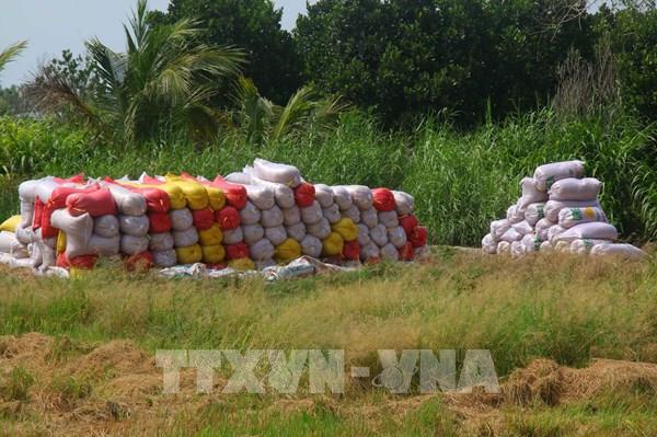 Nhu cầu tăng, xuất khẩu gạo vẫn nhiều rủi ro