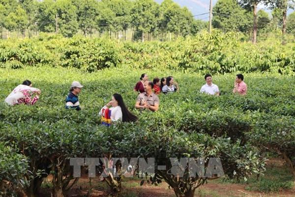 Giữ "vùng lõi xanh" để phát triển du lịch