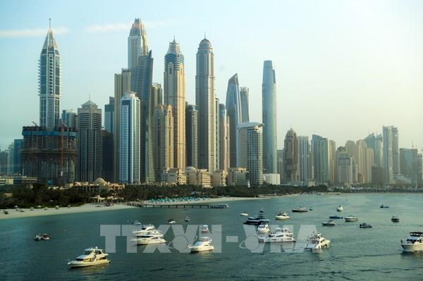 Dubai lắp hàng trăm camera AI tự thu phí đỗ xe