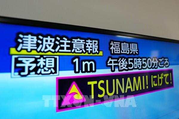 Việt Nam triển khai công tác bảo hộ công dân tại Nhật Bản