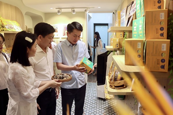 Khai mạc “Tuần lễ sản phẩm Hà Tĩnh tại Thủ đô”