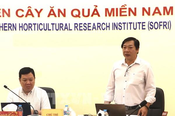 Sầu riêng Việt và cuộc chiến kiểm soát Cadimi, Vàng O để xuất ngoại