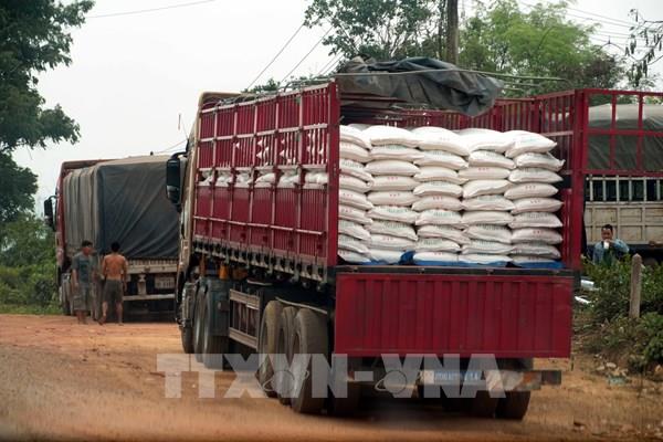 Ngăn chặn “dòng chảy” đường lậu nơi biên giới Lao Bảo